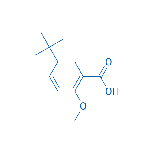 5-(tert-Butyl)-2-methoxybenzoic acid 1g