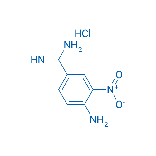 4-Amino-3-nitrobenzimidamide hydrochloride 1g