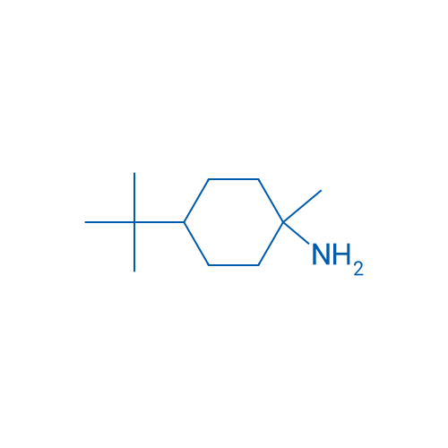 4-tert-Butyl-1-methylcyclohexan-1-amine 1g