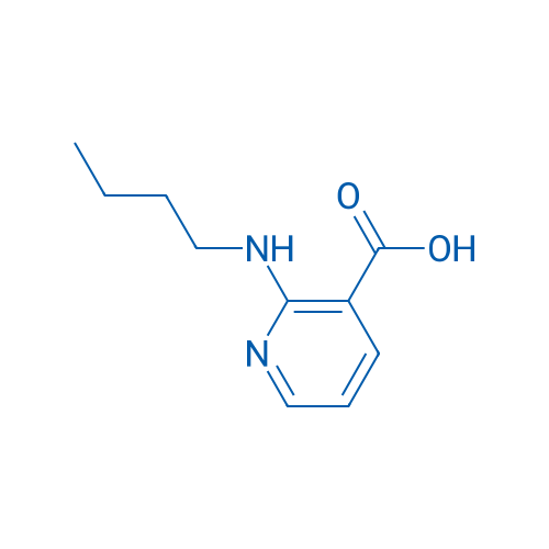 2-(Butylamino)nicotinic acid 1g