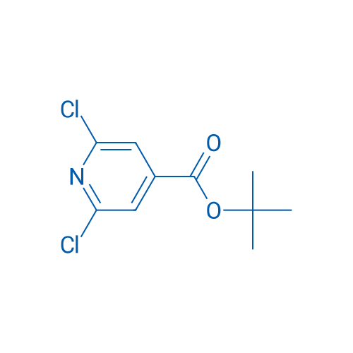 tert-Butyl 2,6-dichloroisonicotinate 5g
