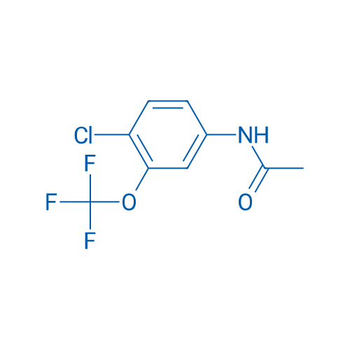 N-(4-Chloro-3-(trifluoromethoxy)phenyl)acetamide 1g