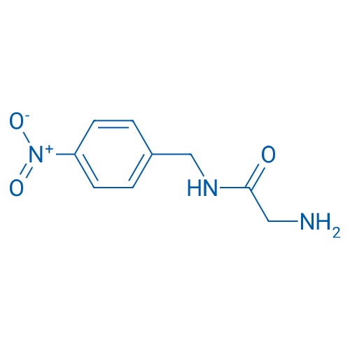 2-Amino-N-(4-nitro-benzyl)-acetamide 1g