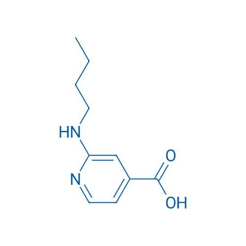 2-(Butylamino)isonicotinic acid 1g