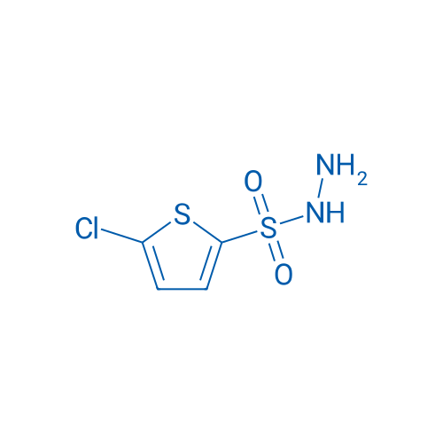 5-Chlorothiophene-2-sulfonohydrazide 250mg