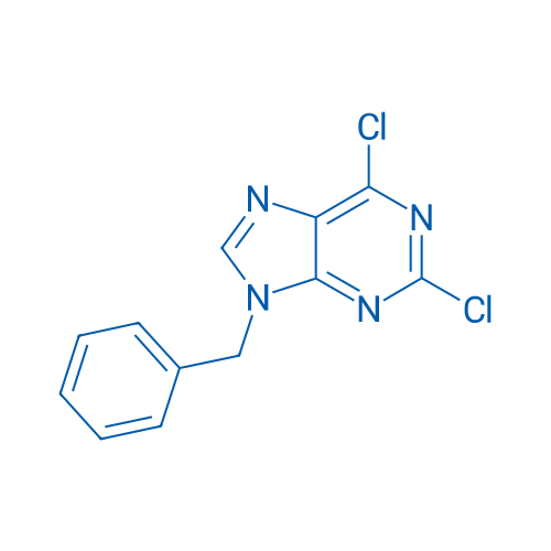 9-Benzyl-2,6-dichloro-9H-purine 250mg