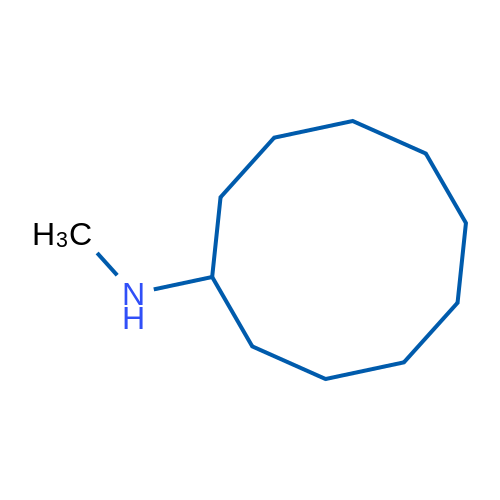 N-Methylcyclodecanamine 1g