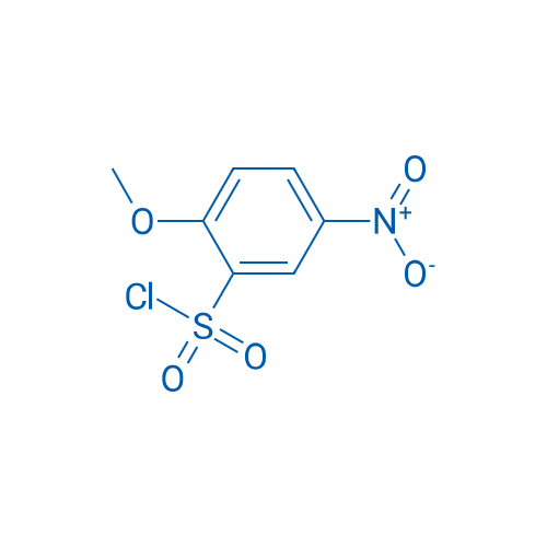 2-Methoxy-5-nitrobenzene-1-sulfonyl chloride 5g