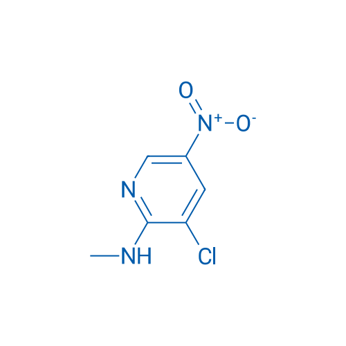 3-Chloro-N-methyl-5-nitropyridin-2-amine 1g