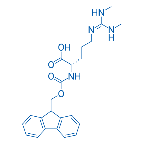 Fmoc-Arg(Me, Me)-OH 250mg