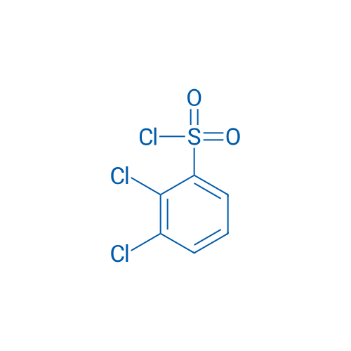 2,3-Dichlorobenzenesulfonyl chloride 10g
