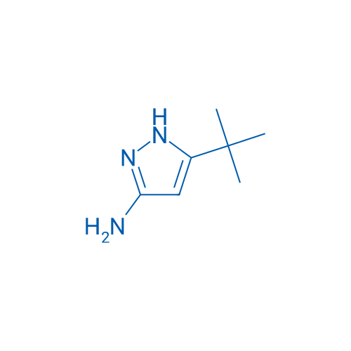 3-Amino-5-tert-butylpyrazole 25g