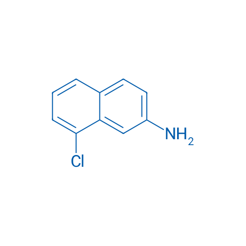 8-Chloronaphthalen-2-amine 1g
