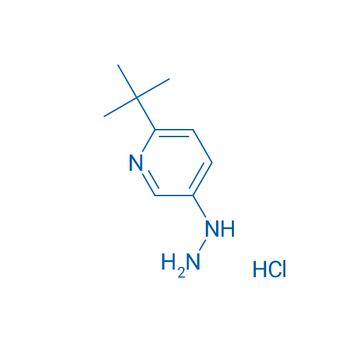 2-(tert-Butyl)-5-hydrazinylpyridine hydrochloride 5g
