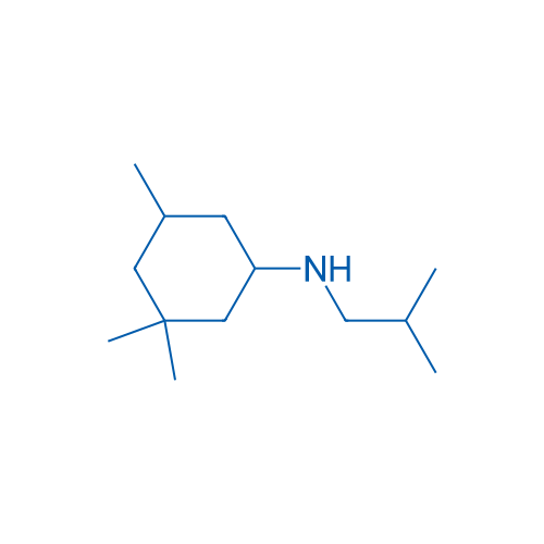3,3,5-Trimethyl-N-(2-methylpropyl)cyclohexan-1-amine 1g