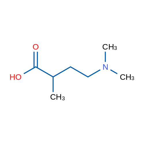 4-(Dimethylamino)-2-methylbutanoic acid 1g