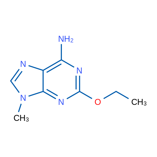 2-Ethoxy-9-methyl-9H-purin-6-amine 1g