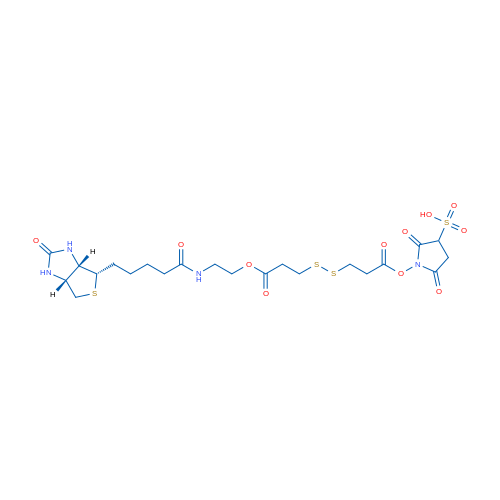 SUlphosuccinimidyl-2-(biotinamido)ethyl-1,3-dithiopropionate 100mg
