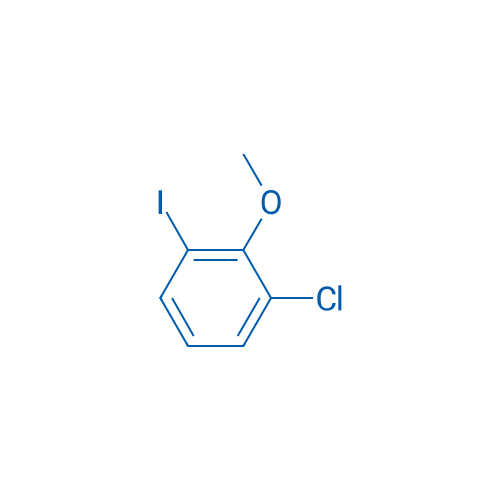 1-Chloro-3-iodo-2-methoxybenzene 1g