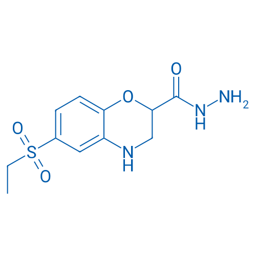 6-(Ethanesulfonyl)-3,4-dihydro-2H-1,4-benzoxazine-2-carbohydrazide 1g