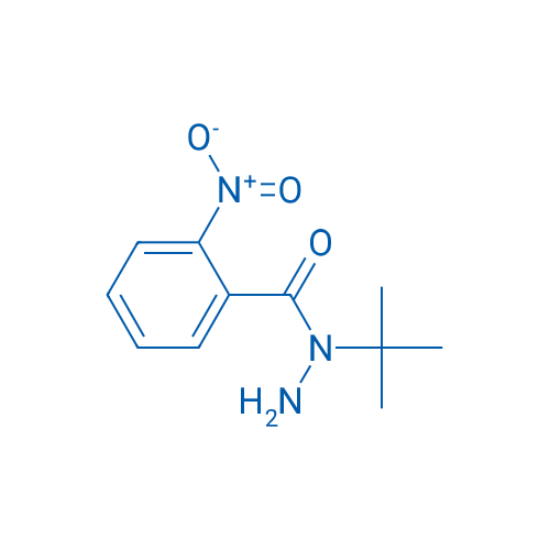 N-tert-Butyl-2-nitrobenzohydrazide 1g