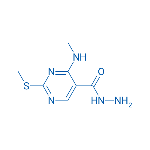 4-(Methylamino)-2-(methylthio)pyrimidine-5-carbohydrazide 1g