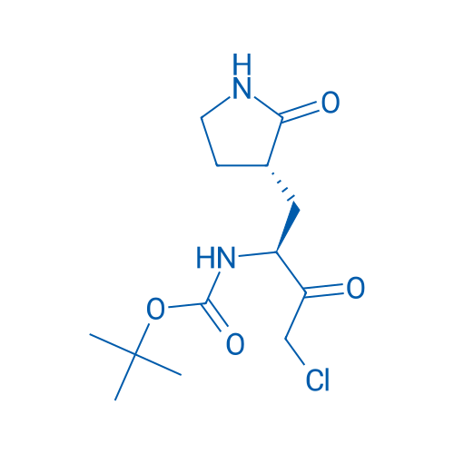 tert-Butyl ((S)-4-chloro-3-oxo-1-((S)-2-oxopyrrolidin-3-yl)butan-2-yl)carbamate 1g