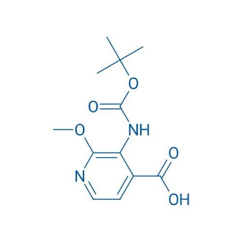 3-((tert-Butoxycarbonyl)amino)-2-methoxyisonicotinic acid 1g