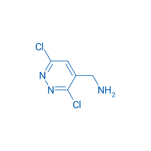 (3,6-Dichloropyridazin-4-yl)methanamine 1g