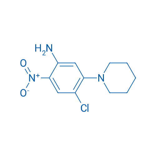 4-Chloro-2-nitro-5-(piperidin-1-yl)aniline 1g