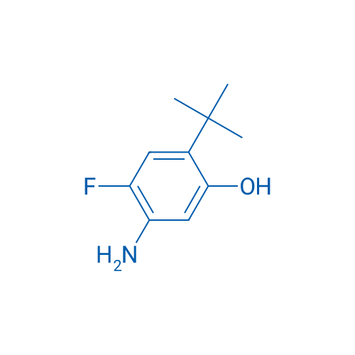 5-Amino-2-(tert-butyl)-4-fluorophenol 250mg