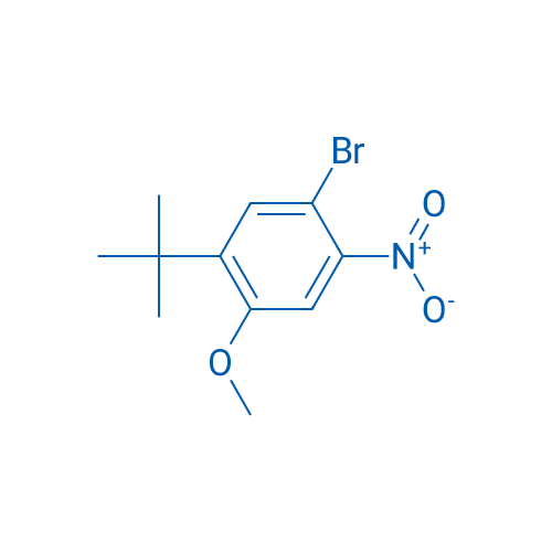 1-Bromo-5-(tert-butyl)-4-methoxy-2-nitrobenzene 1g