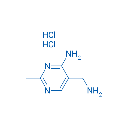 5-aminomethyl-2-methylpyrimidin-4-ylamine 2HCl 1g