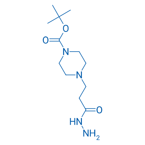 tert-Butyl 4-(3-hydrazinyl-3-oxopropyl)piperazine-1-carboxylate 1g