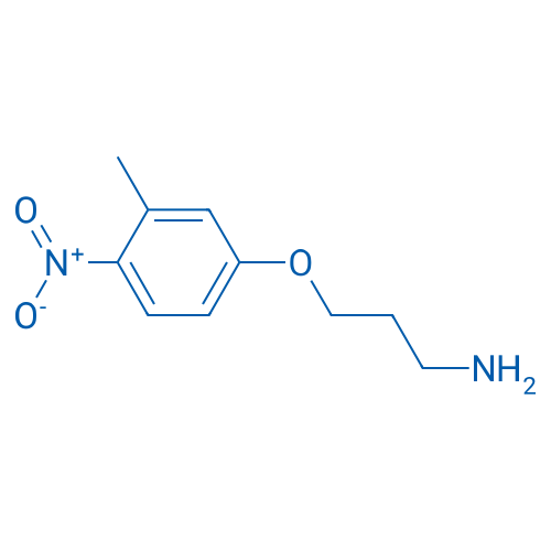 3-(3-Methyl-4-nitrophenoxy)propan-1-amine 1g
