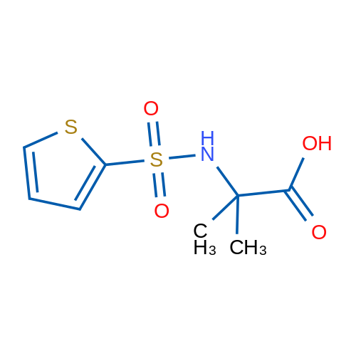 2-Methyl-2-(thiophene-2-sulfonamido)propanoic acid 1g