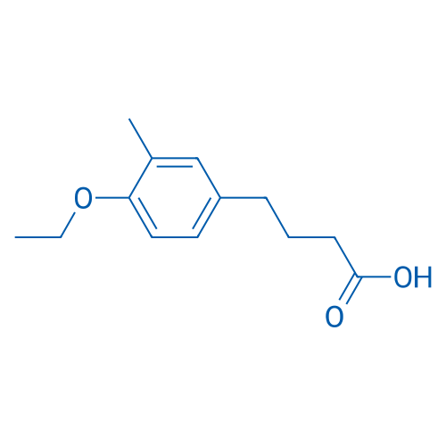 4-(4-Ethoxy-3-methylphenyl)butanoic acid 1g