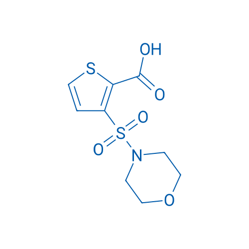 3-(Morpholin-4-ylsulfonyl)thiophene-2-carboxylic acid 250mg