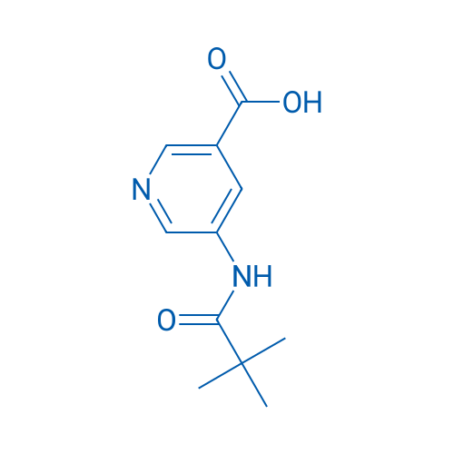 5-Pivalamidonicotinic acid 250mg