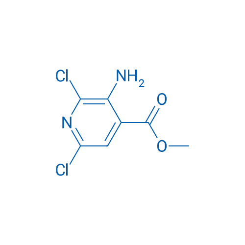Methyl 3-amino-2,6-dichloroisonicotinate 1g