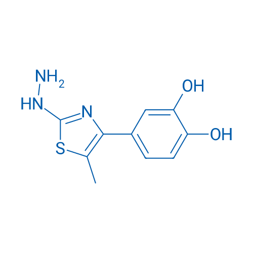 4-(2-Hydrazinyl-5-methylthiazol-4-yl)benzene-1,2-diol 1g
