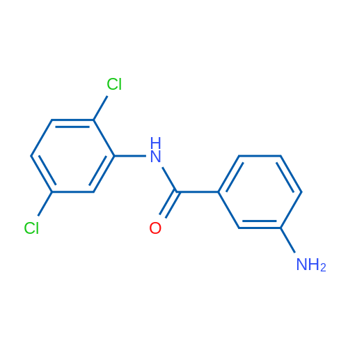 3-Amino-N-(2,5-dichlorophenyl)benzamide 1g