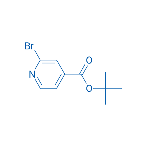 tert-Butyl 2-bromoisonicotinate 100mg