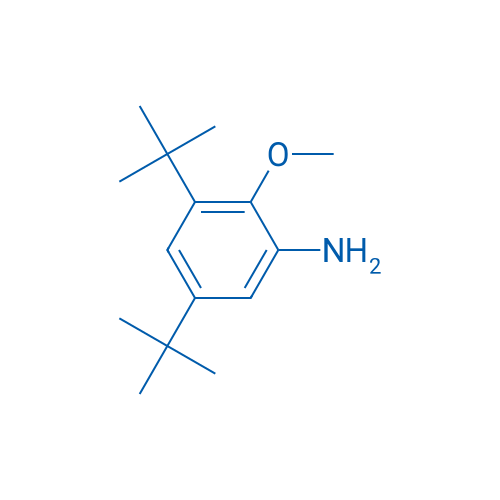 3,5-Di-tert-butyl-2-methoxyaniline 100mg
