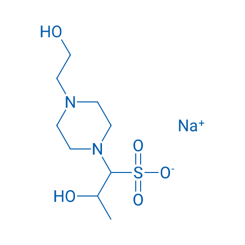 HEPPSO sodium 10g