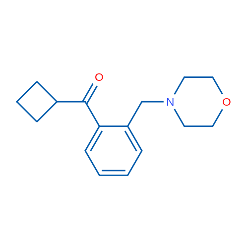 Cyclobutyl 2-(morpholinomethyl)phenyl ketone 1g