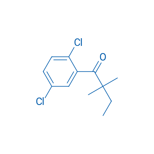2',5'-Dichloro-2,2-dimethylbutyrophenone 1g