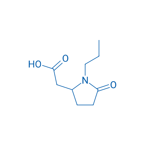 2-(5-Oxo-1-propylpyrrolidin-2-yl)acetic acid 5g