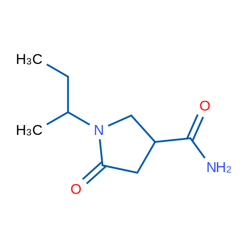 1-(sec-Butyl)-5-oxopyrrolidine-3-carboxamide 1g