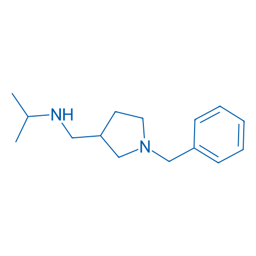 N-((1-Benzylpyrrolidin-3-yl)methyl)propan-2-amine 1g